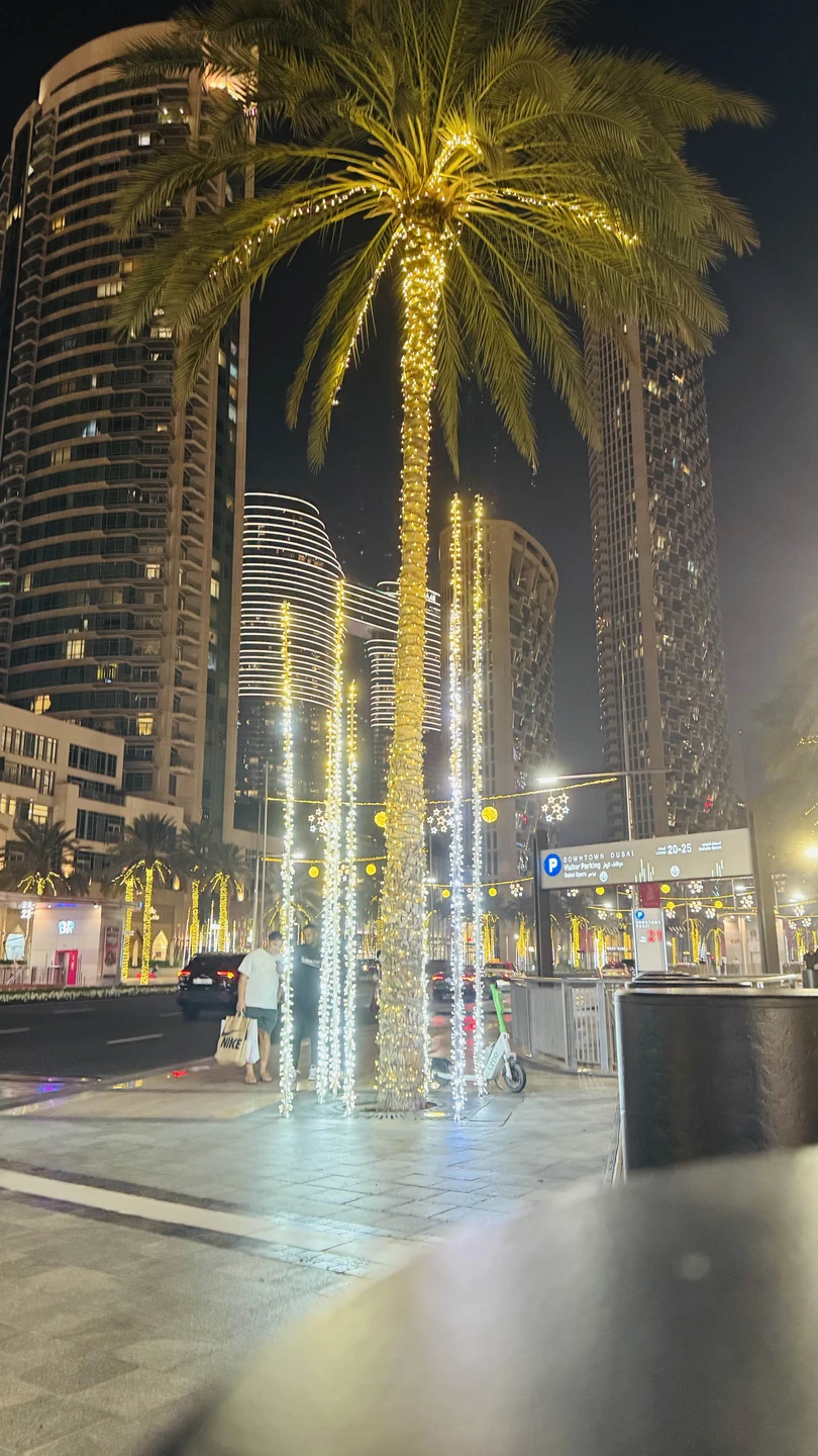 Один день в сказочном Дубае: обзорная экскурсия в мини-группе (Татьяна)