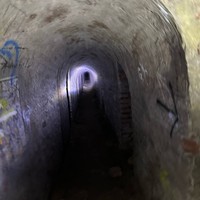 reviews img