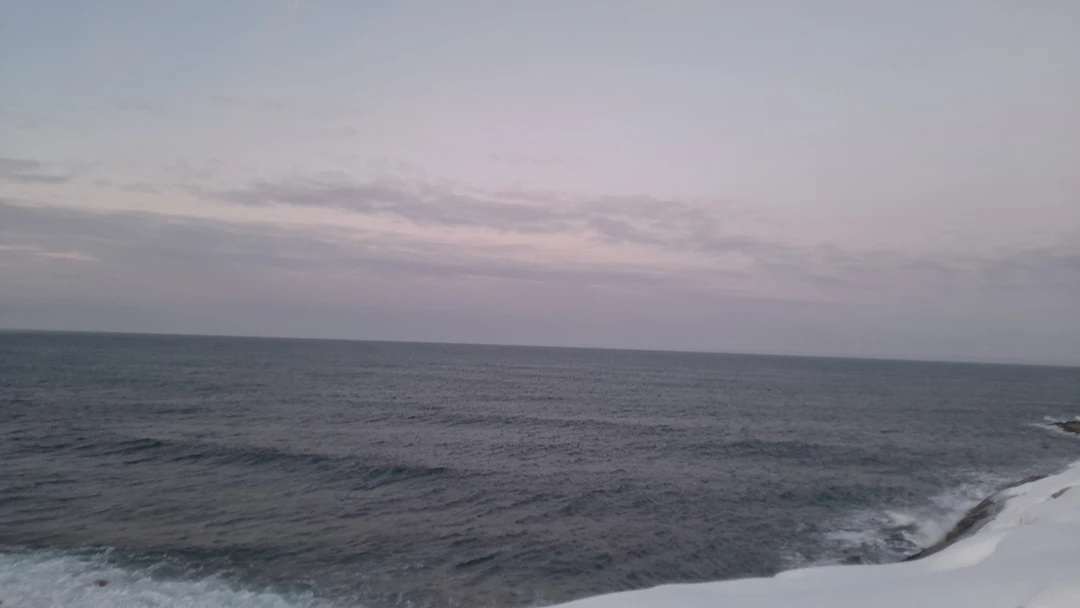 Киты, тюлени и невероятная Териберка (Ольга)