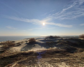 Куршская коса, Танцующий лес и Зеленоградск
