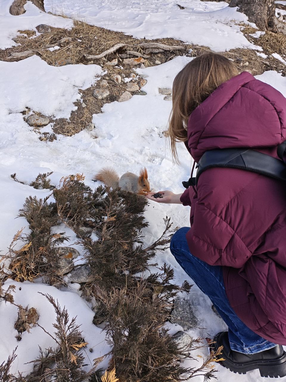 Спасибо гиду Урмату за отличную экскурсию! Посетили экскурсию в начале января, с удовольствием прогулялись по территории