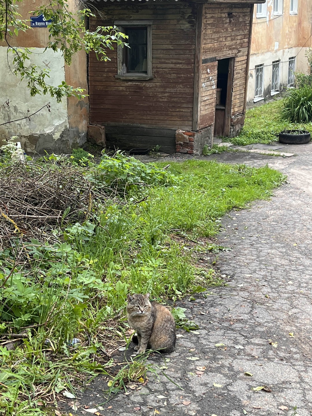 Мистическая Калуга. Легенды, рассказы, фольклор (Ксения)