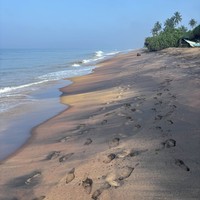 Фото отзыва 2: экскурсия "Элла: путешествие в высокогорную Шри-Ланку"