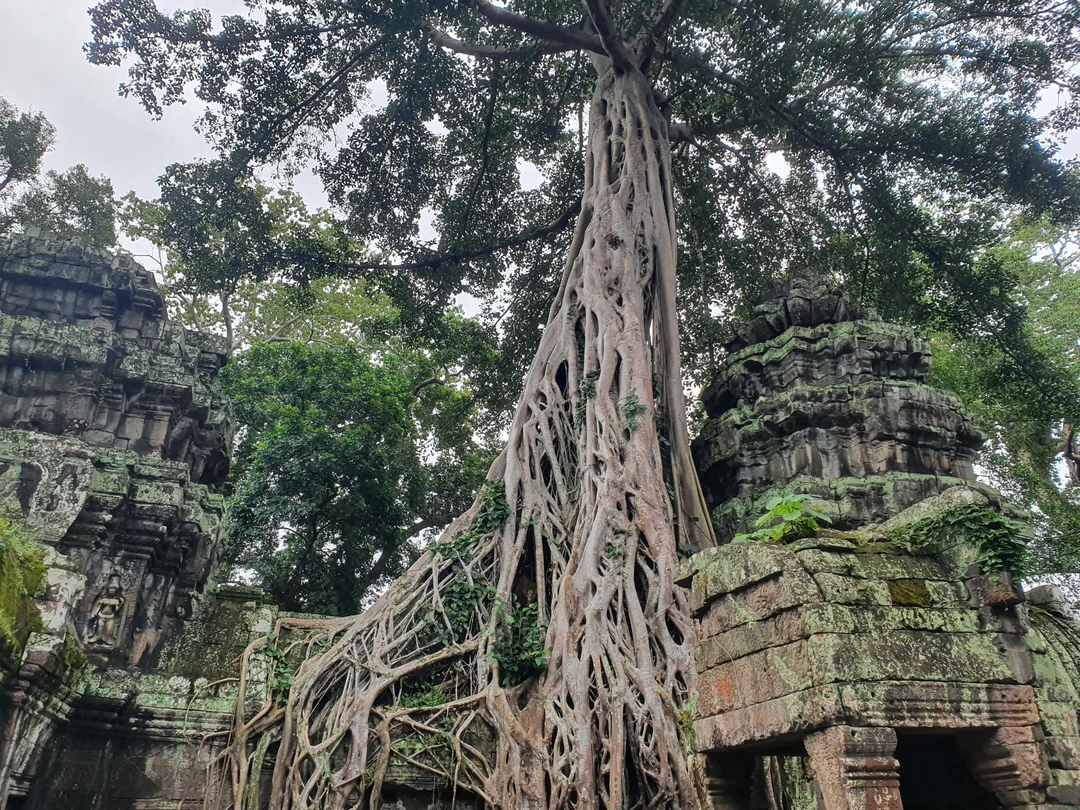Если исследовать Камбоджу, то только с Андреем! Увлеченный рассказчик, сумел заинтересовать и взрослых, и детей. Провел
