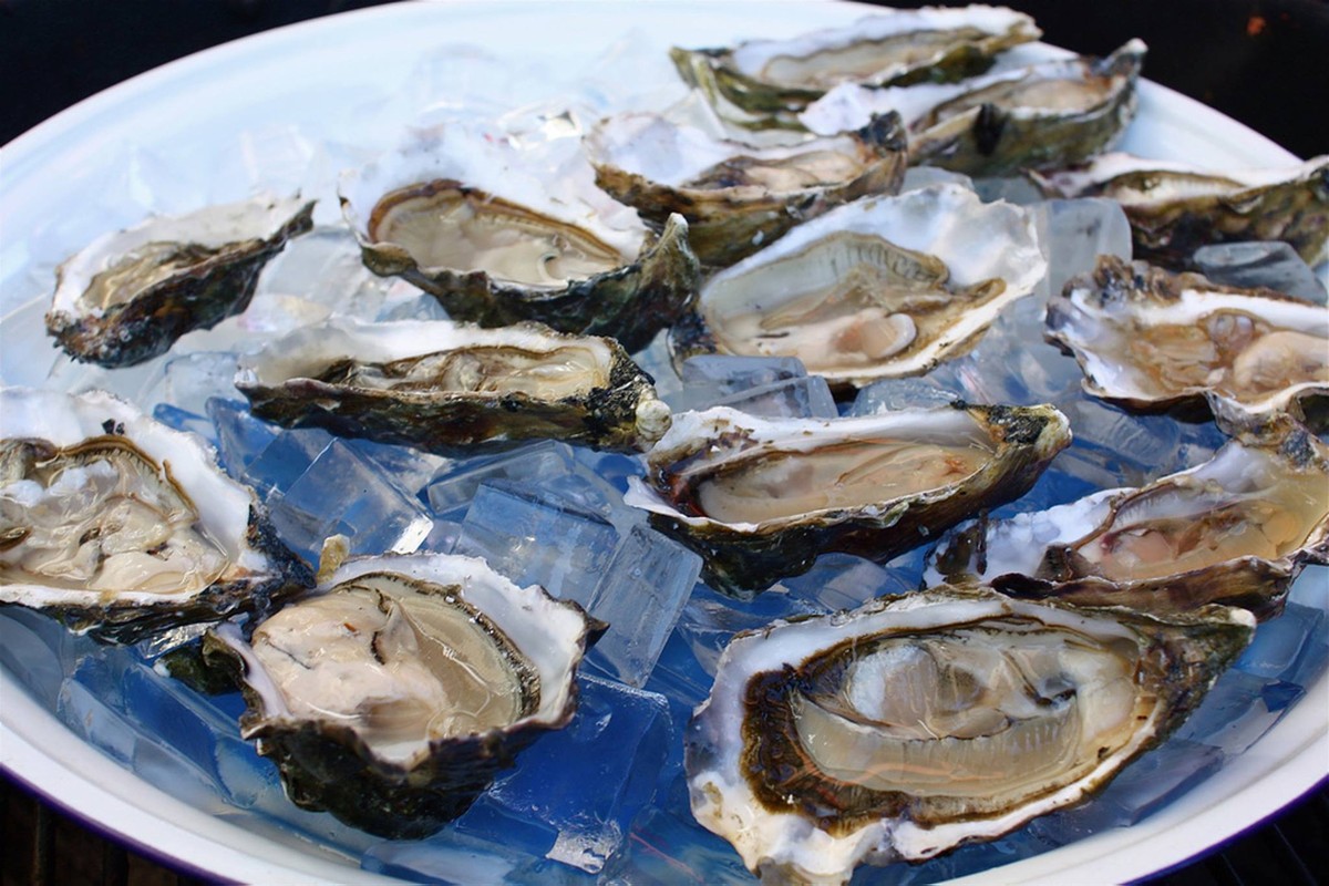 Поездка на остров Русский с посещением морской фермы (9/12)