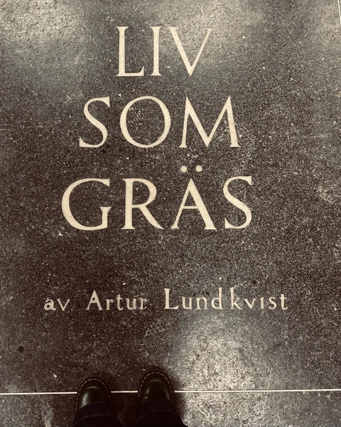 Интересная и познавательная экскурсия