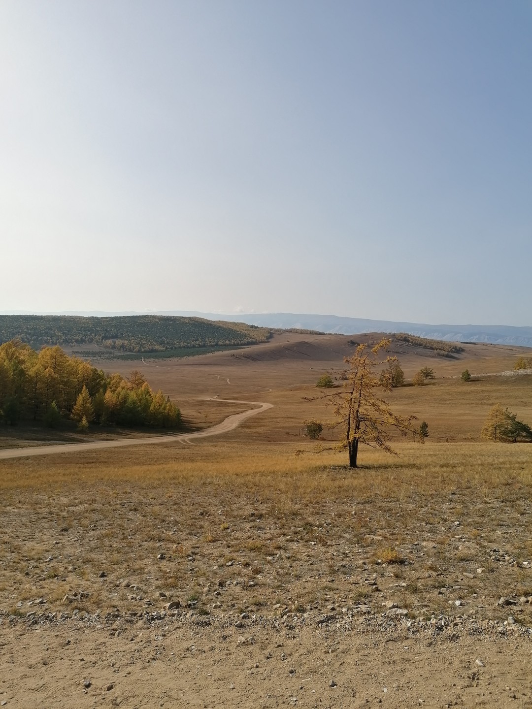 Было красиво, вкусно и тепло)