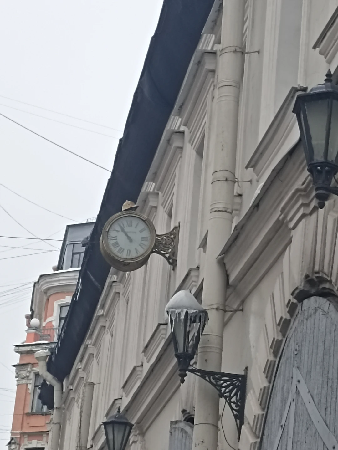 Хоррор-путешествие по самому загадочному району Питера (Елена)