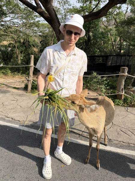 гид Виктор - просто пушка! знает языки всех животных 😂 поболтали со всеми животными и покормили. От плавающего слона - в полном шоке до сих пор)