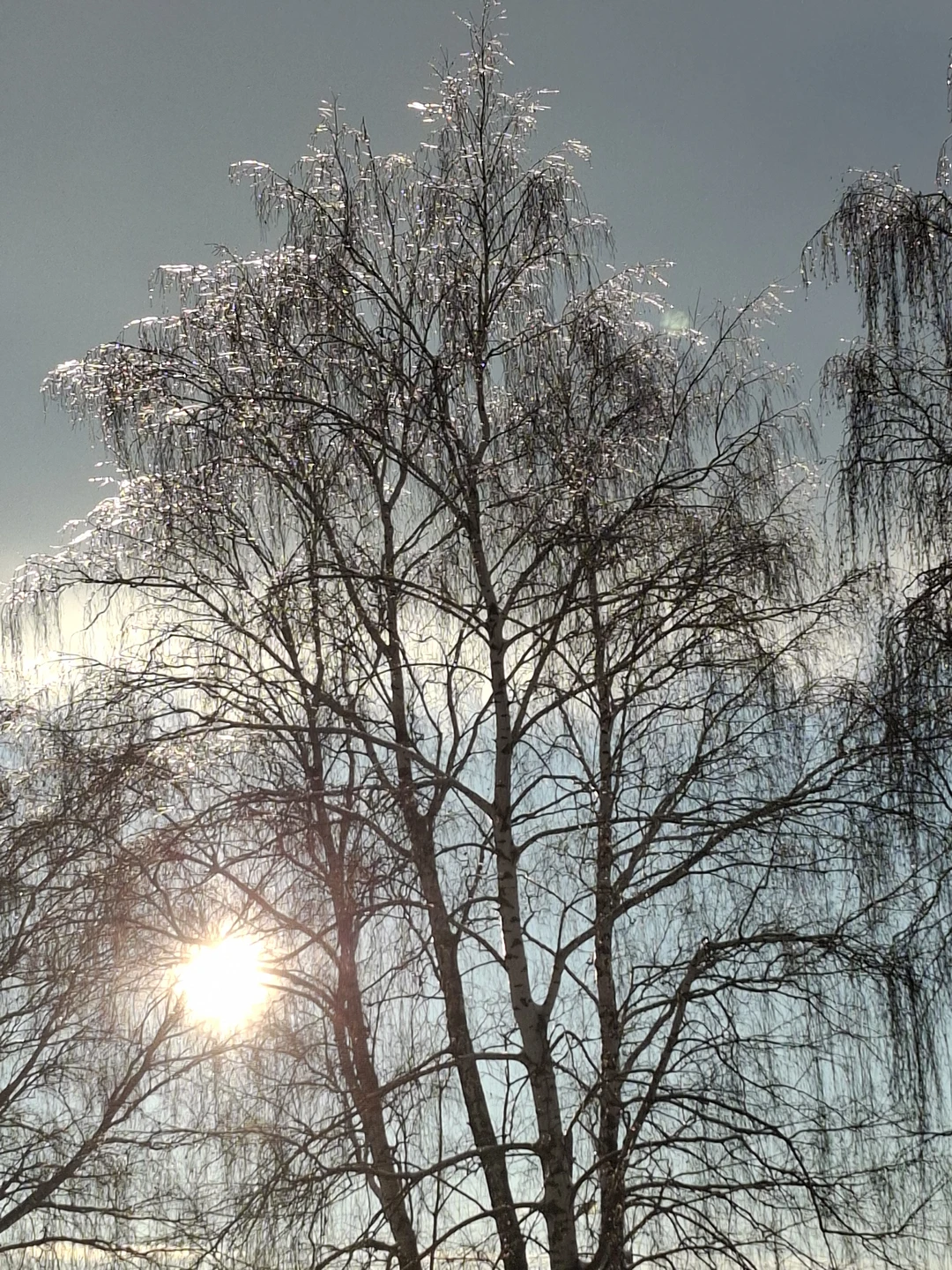 Спасибо Дмитрию за отличную экскурсию! Человек,на самом деле душой вросший в край и Есенина! Стихи,природа и