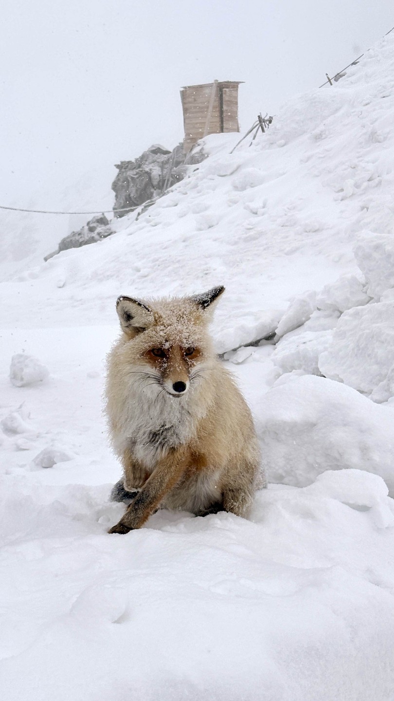Привет, Эльбрус! Поездка в группе из Пятигорска (Марина)
