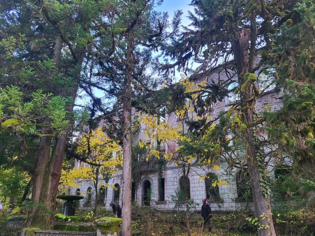 Очень живописные места! Хорошие машины, профессиональные водители. К водопадам подниматься в гору по бездорожью. Так гид