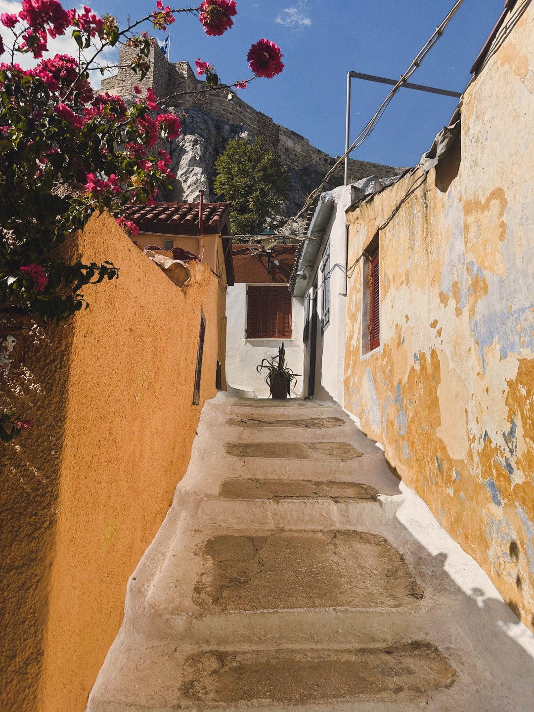 Очень классная получилась прогулка! Спасибо Марине за интересную историю, узнали много нового. Марина очень милая и