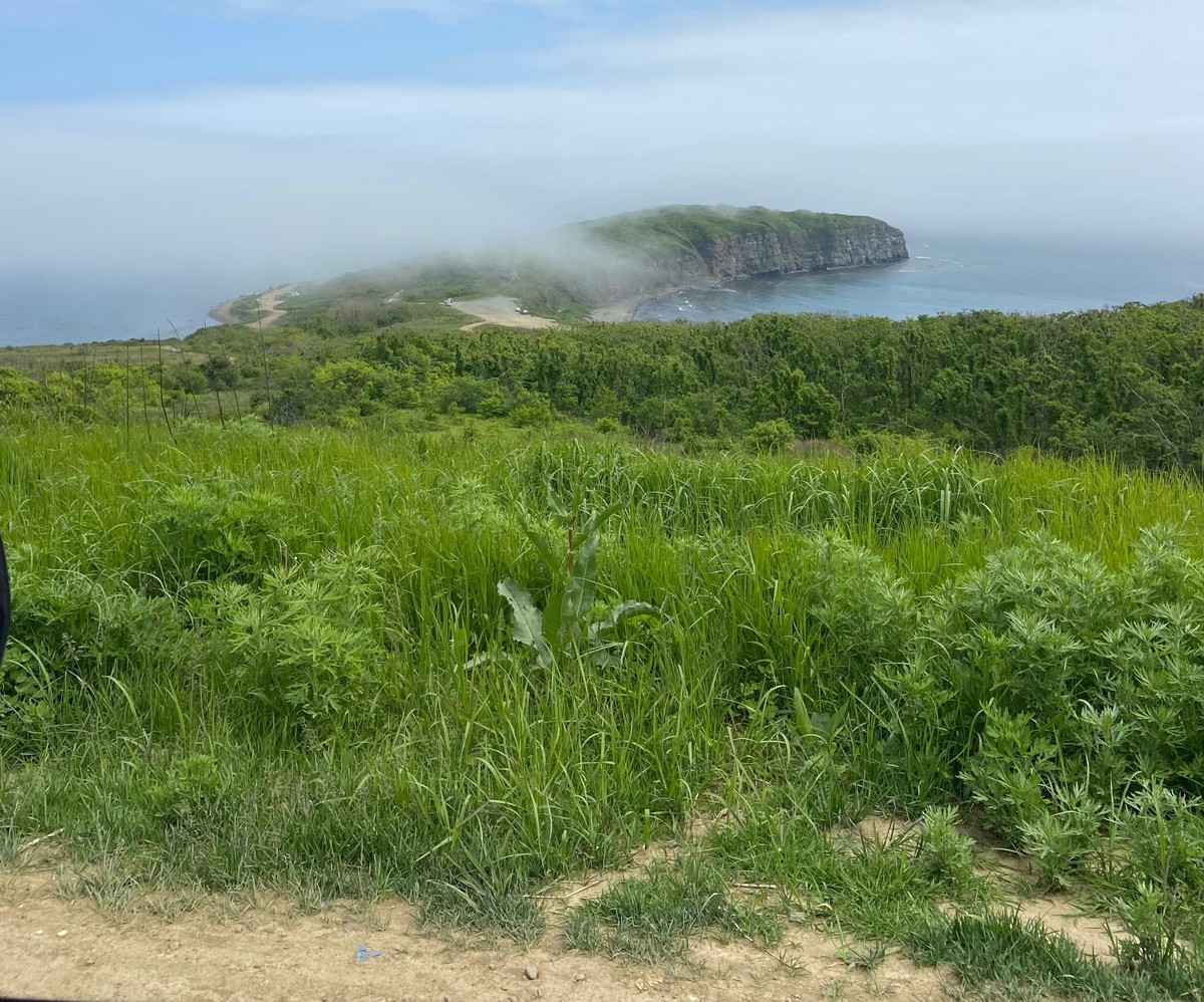 Остров Русский и бухта Стеклянная (15/16)