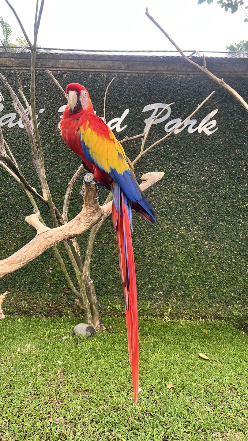 Всё понравилось. Маршрут интересный. Понравилась доброжелательность водителя и то, что нет каких-то гонок в той или