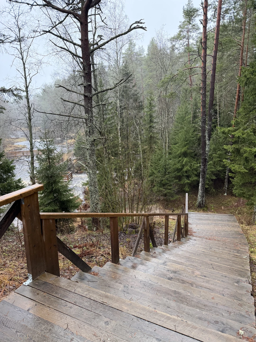 Спасибо за путешествие, где увидели и мощь, и душу Карелии