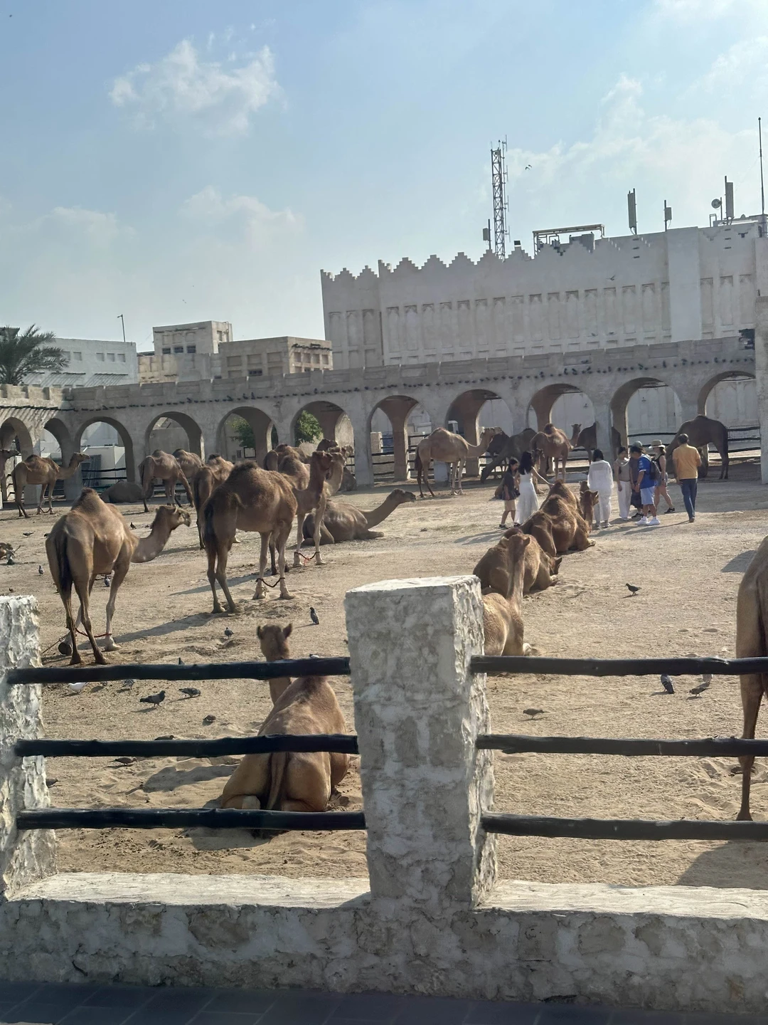 Отличная экскурсия, гид Дарья большая умничка! Узнали много интересных фактов из жизни катарцев и о стране