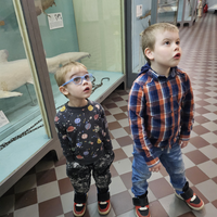 Фото отзыва 1: экскурсия "Зоологический музей для детей и взрослых"