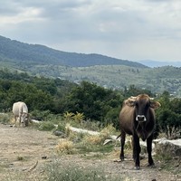 Фото отзыва 6: экскурсия ""