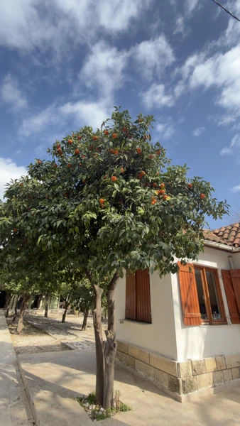 Во-первых хочу выразить большую благодарность Угуру. Он отличный гид и опытный водитель. Находясь в автомобиле, под