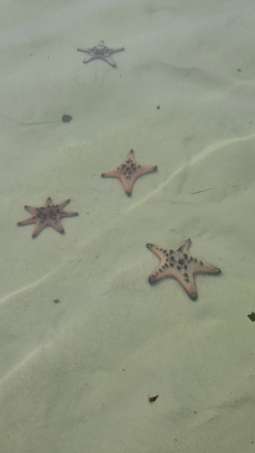 Очень понравилась экскурсия с Сергеем по Фукуоку. Заранее выбрали интересные нам локации. Сергей построил маршрут таким