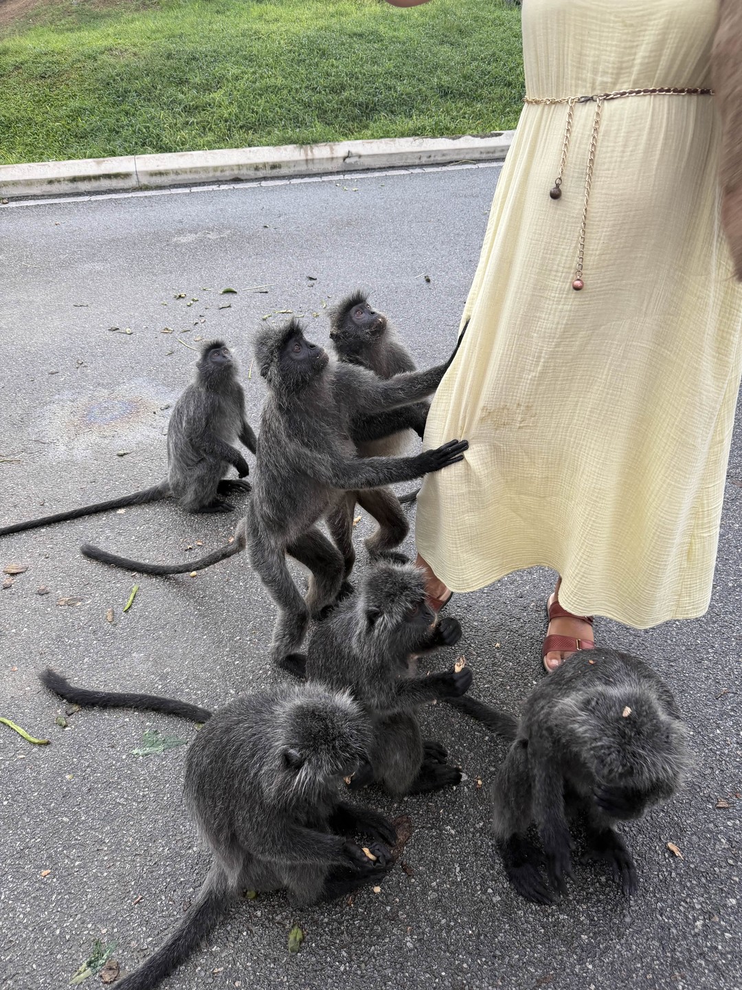 Татьяна - душевная, живая, отзывчивая! Нам было приятно познакомиться и провести почти день в ее компании