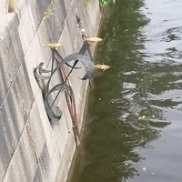 reviews img