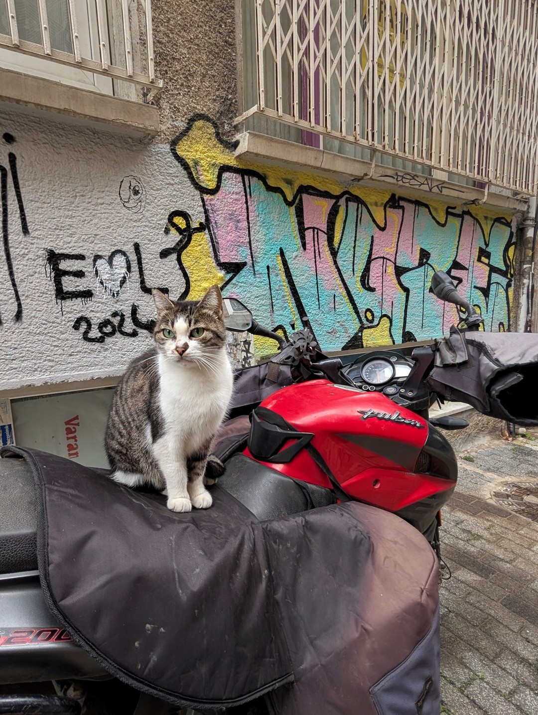 Восточный Стамбул: Кадыкёй, Ускюдар и Кузгунджук (Сабина)