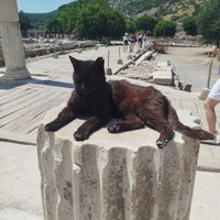 Фото отзыва 2: экскурсия "На один день в античный Эфес — из Мармариса"