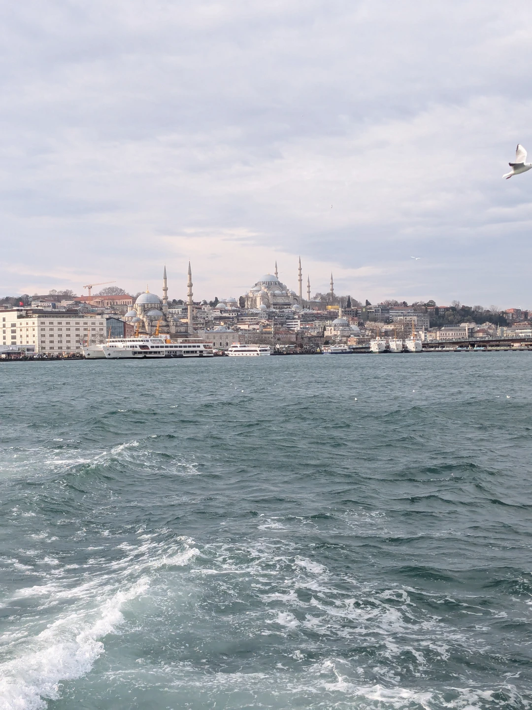 Хочется выразить огромную благодарность нашему гиду Адему за экскурсию по Стамбулу 4 января 2026г