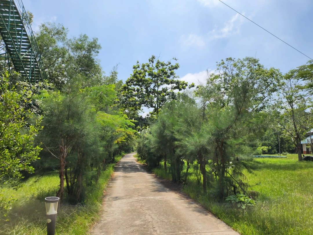 Большое спасибо Ирине за превосходную экскурсию! Это были незабывания впечатления и поездка, которую очень хочется повторить!