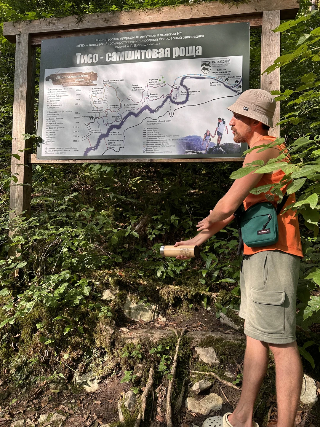 Экскурсия очень разнообразная. Погуляли по волшебному самшитовому лесу, залезли на руины, нафотографировались на чайных плантациях, попробовали