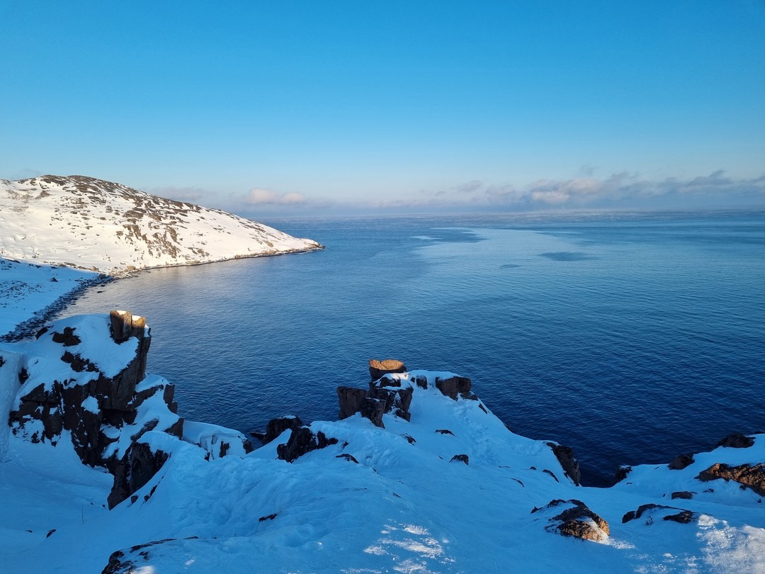 Индивидуальный подход, хорошая организация, посмотрели все запланированное, послушали истории про Териберку и окрестности. Все понравилось!