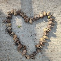Фото отзыва 6: экскурсия "Ваш идеальный день на Куршской косе"