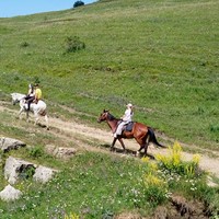 Фото отзыва 4: экскурсия "Групповая конная прогулка над Берёзовским ущельем"