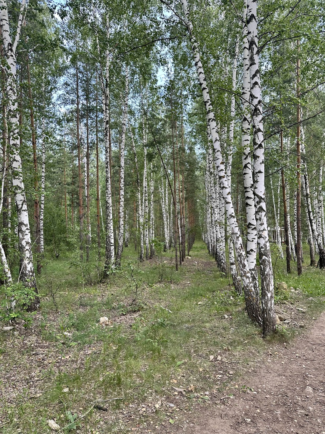 Самарская Лука: путешествие к Сокским штольням и Царёву кургану (Bayramova)