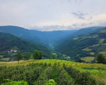 Треккинг по парку Тара