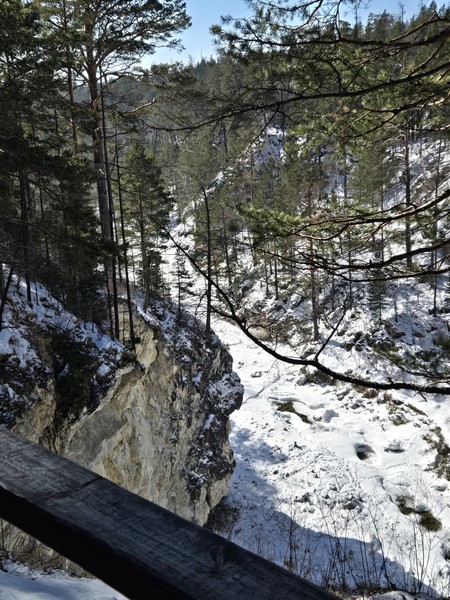 Прекрасная экскурсия! Красивые места, природа, вкусная еда. Обязательно посетите маралов и каменную реку!