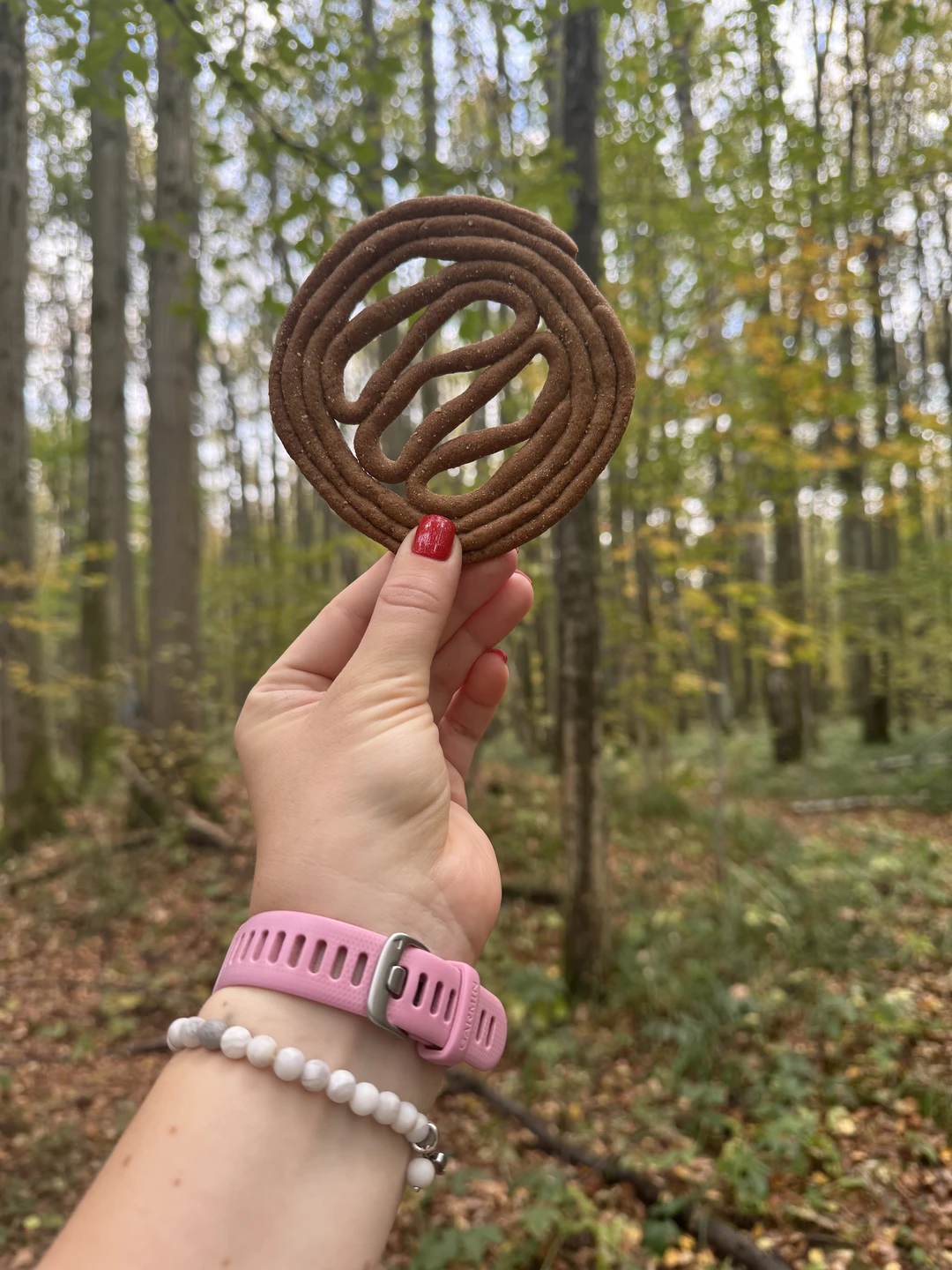 Очень необычный формат экскурсии! Мы совершенно роскошно провели время за прогулкой по осеннему Битцевскому лесу. Узнали