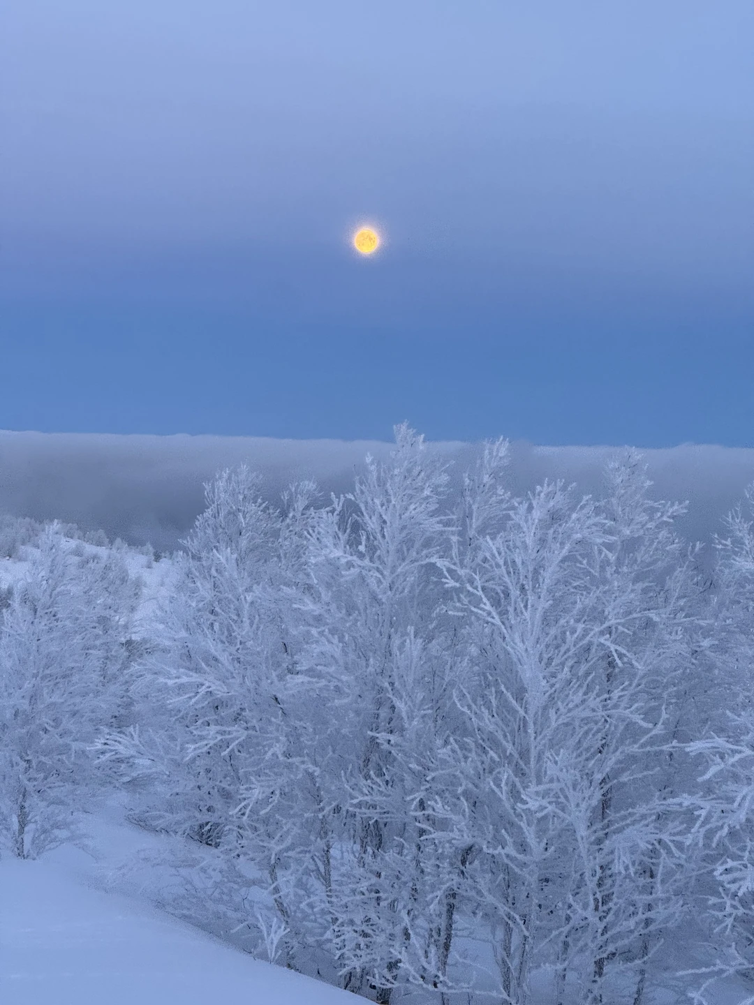 На западную сторону Кольского фьорда (Natalia)