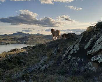 Путь до Малого Моря, подъём на шаманскую гору