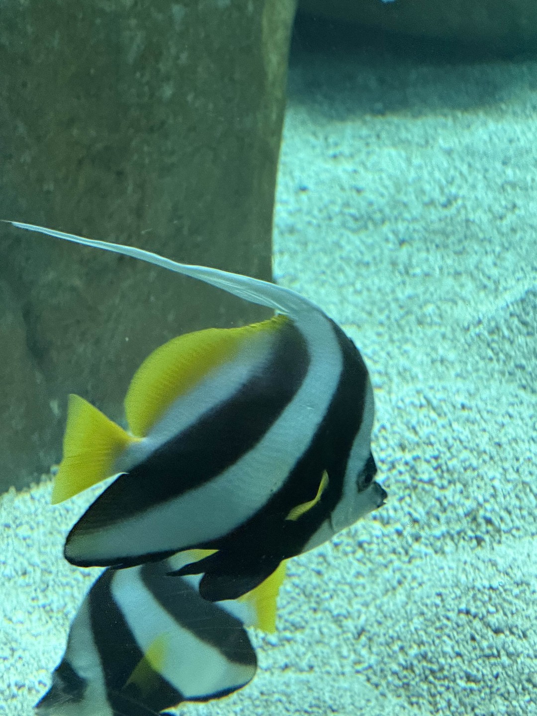 Спасибо большое Муслиму за прекрасную экскурсию! Организация на высоте, все билеты приобретались заранее без очередей и