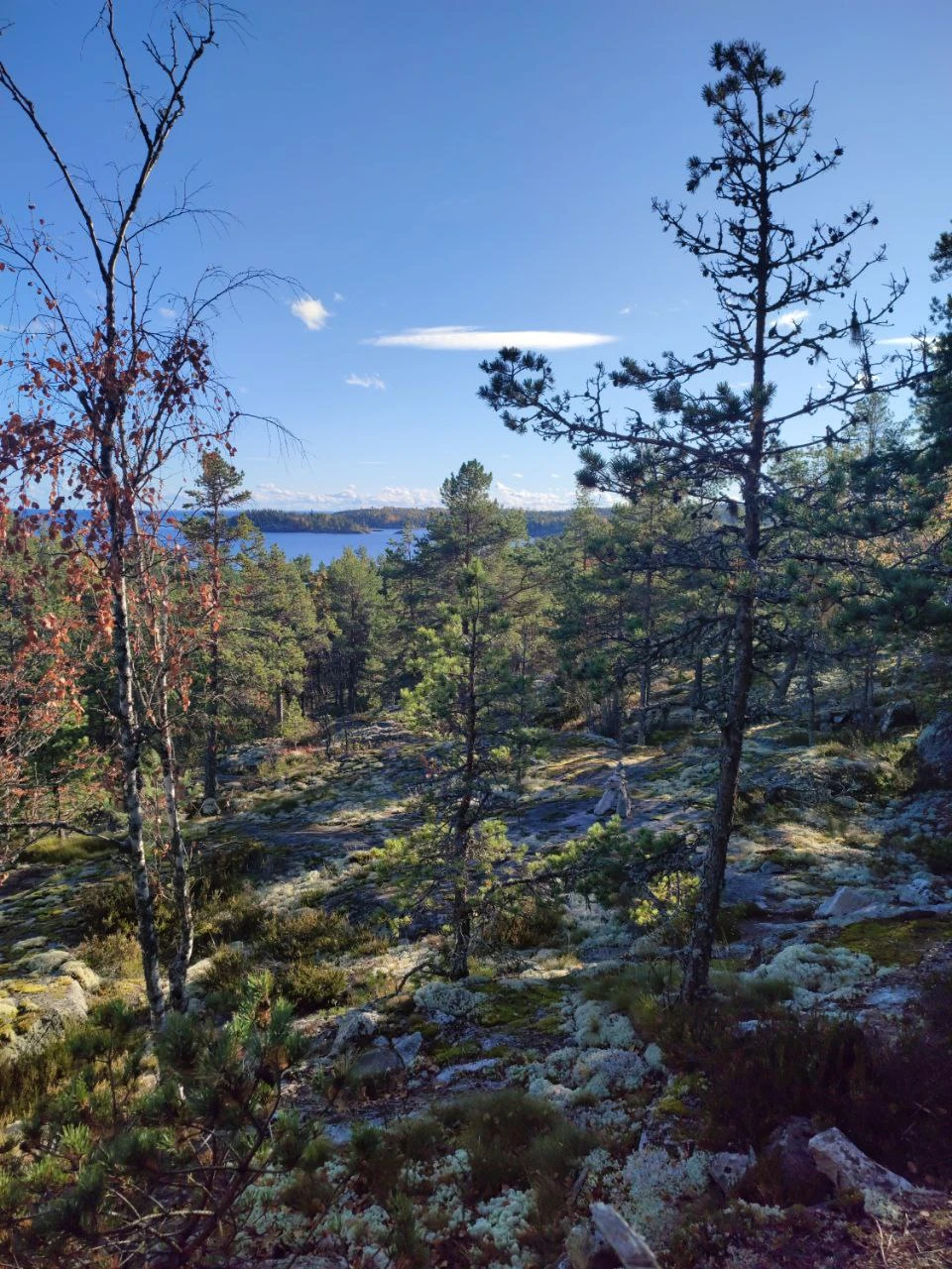 Оформил тур по местам силы в Карелии, оперативно связались, подтвердили бронь, вечером перед поездкой вовремя прислали