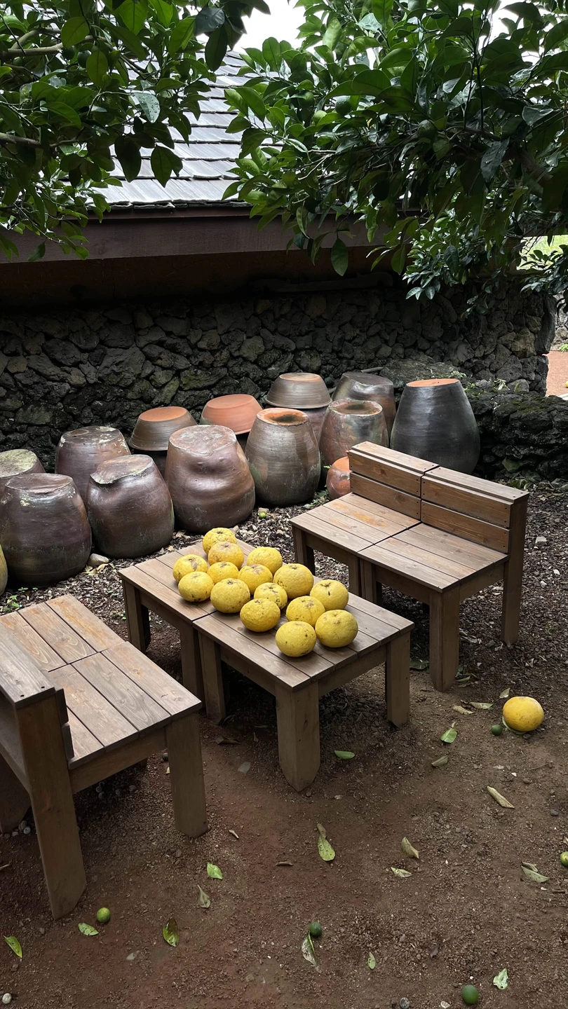 Чеджу - остров, куда хочется вернуться (Дарья)