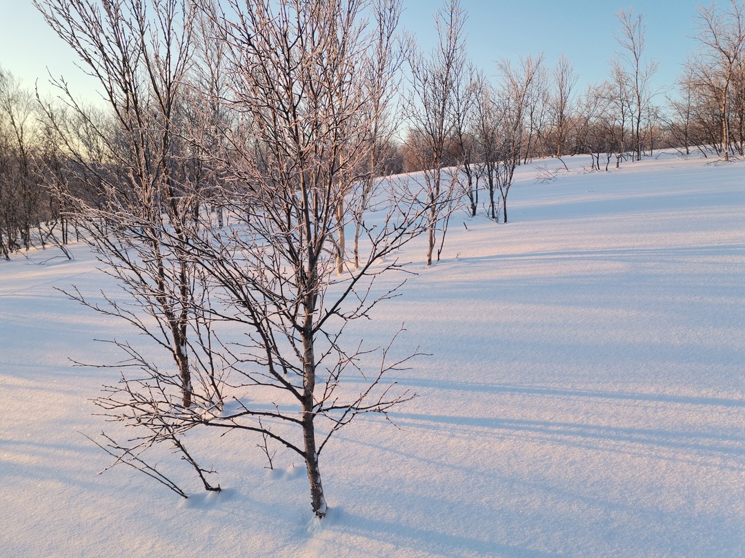Экскурсия очень понравилась. Нашем гидом был Геннадий, большое ему спасибо за интересную вылазку на сопку и