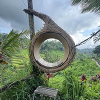 Фото отзыва 2: экскурсия "Традиции и обряды Бали"