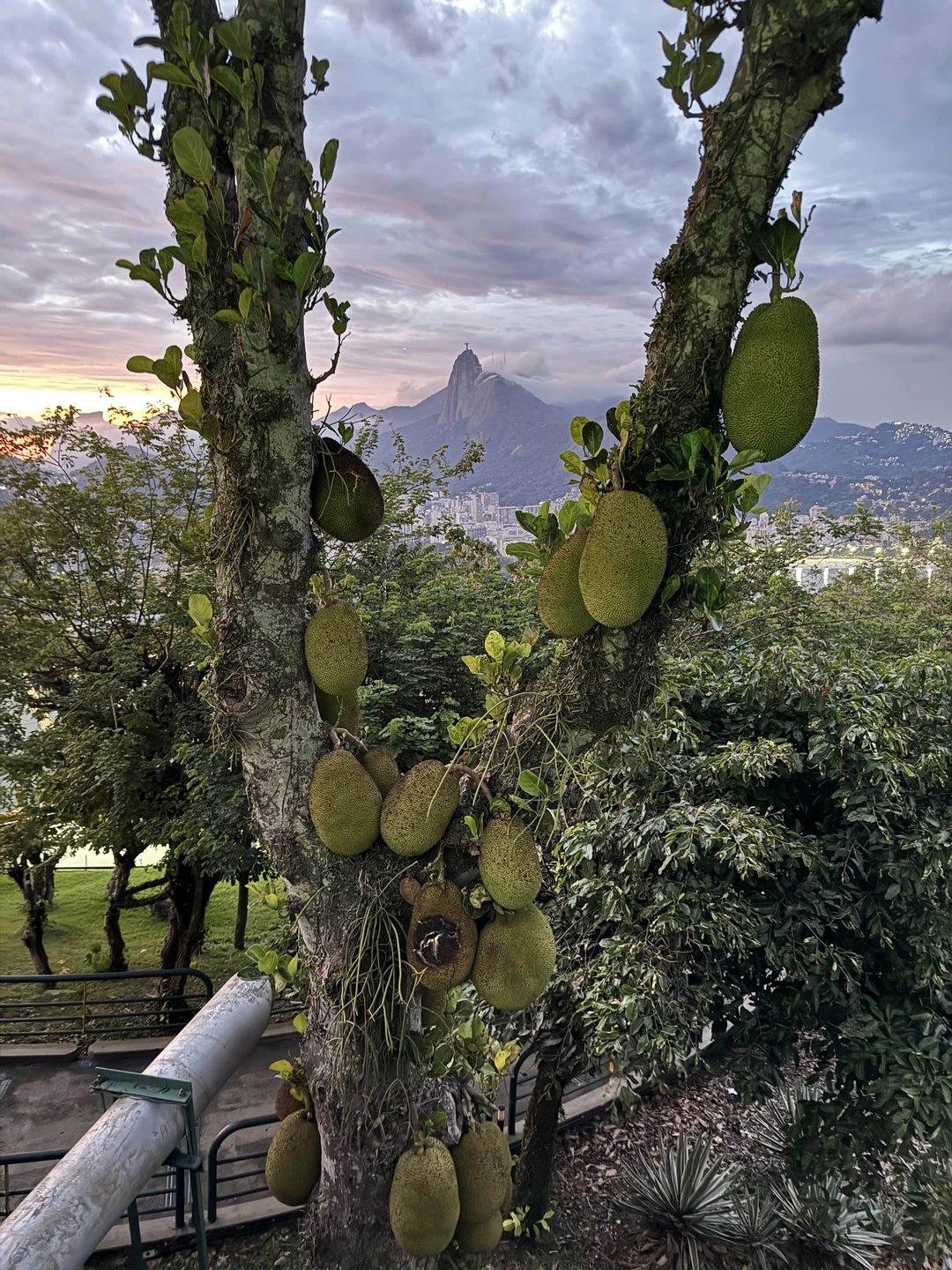 Однозначно рекомендую. Нашим гидом была Оксана, очень харизматичная, коммуникабельная. Подача материала интересная 👍
