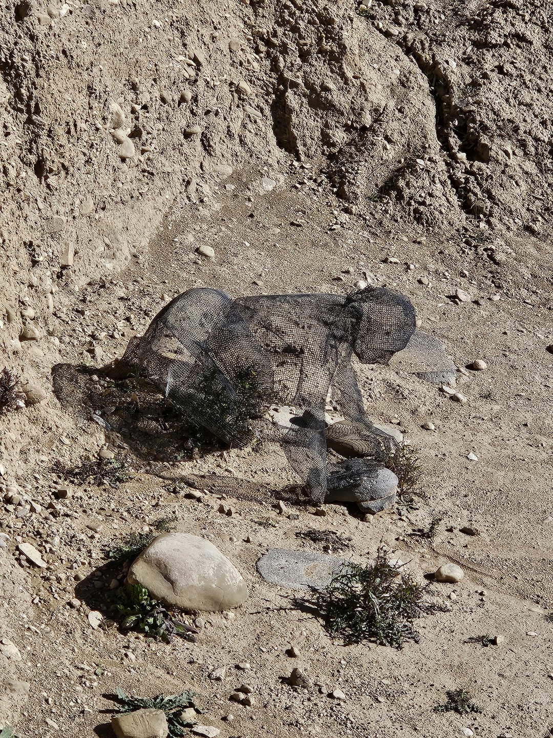 В этой поездке было прекрасно всё: и организация - всё вовремя и четко, и сопровождение -