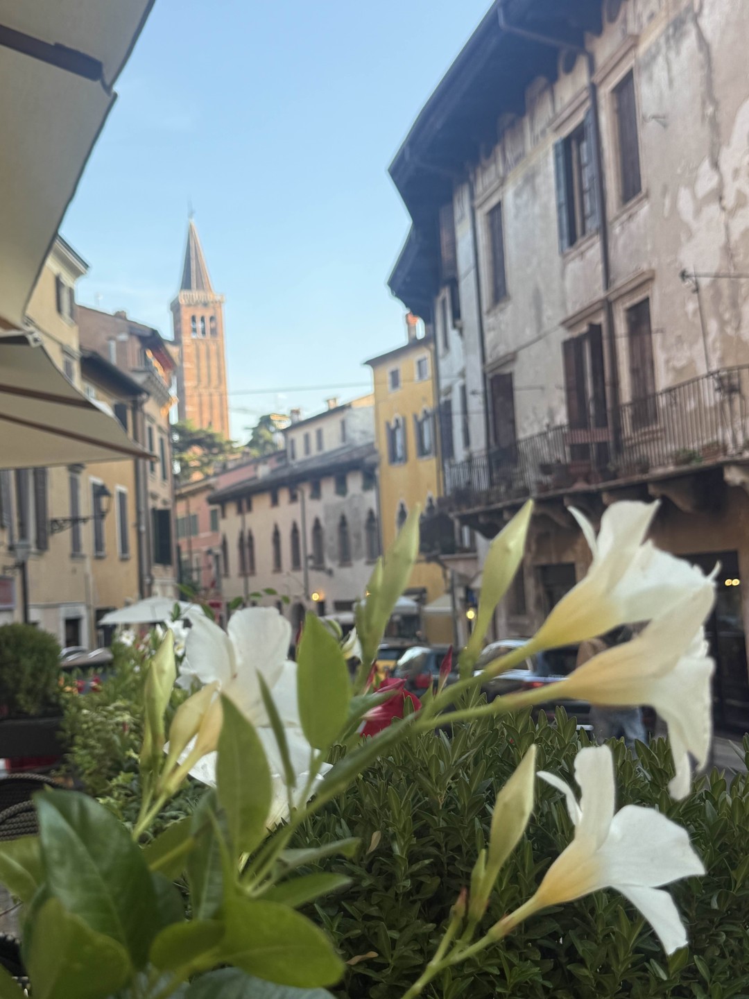 Лучший гид! Верона прекрасный город, но без Вадима мы бы столько не увидели и не узнали!