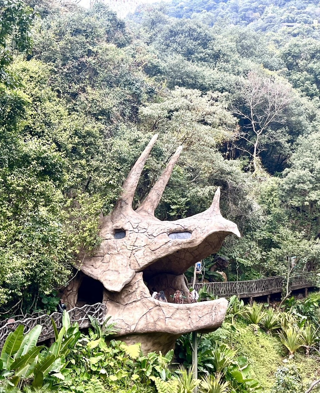 Прекрасный день в ущелье Гулонг!